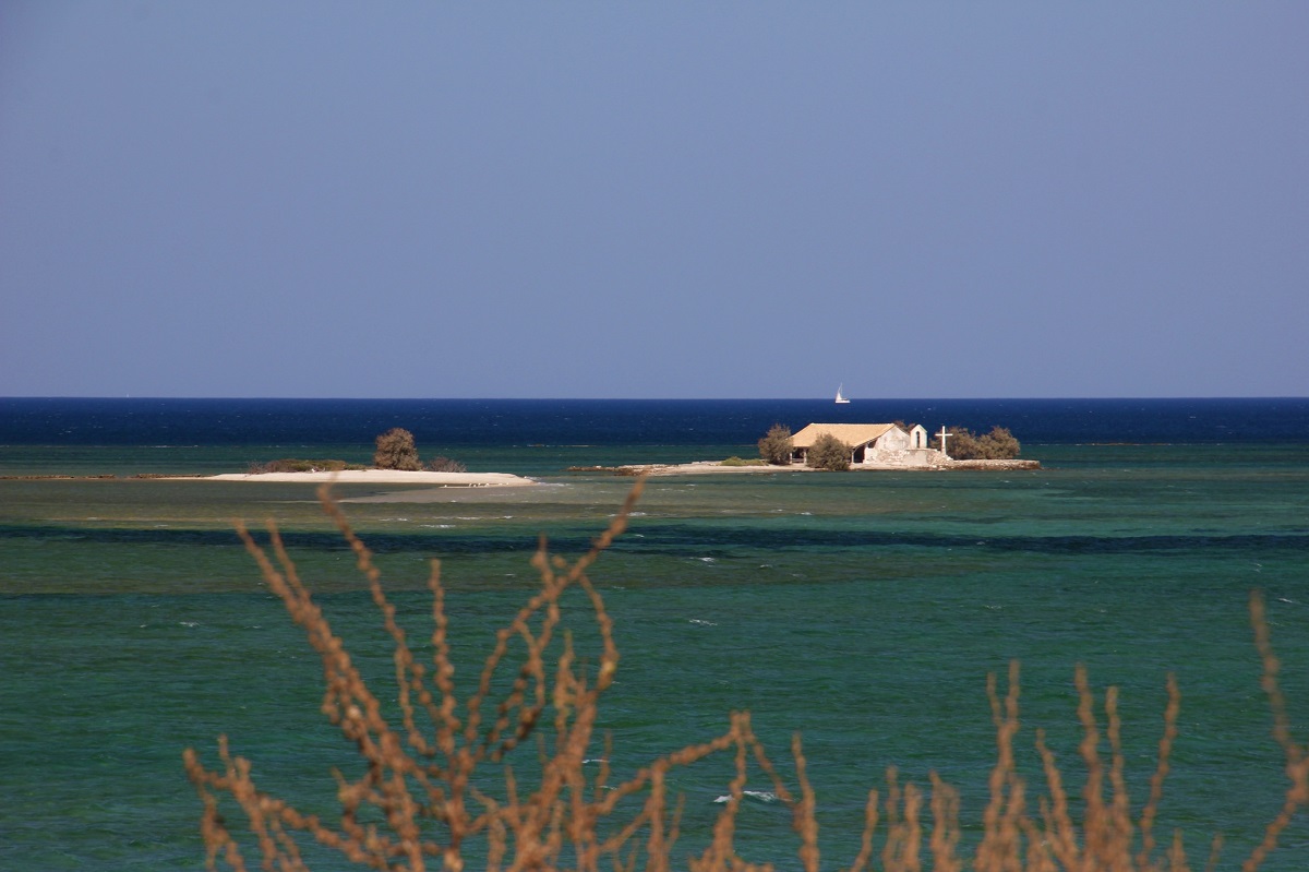 r IMG 8174